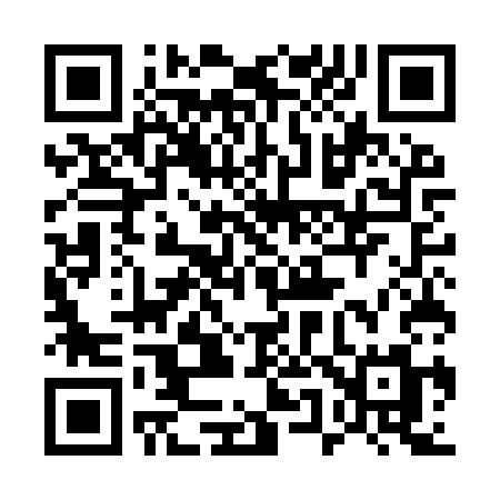QR code for 555ISM