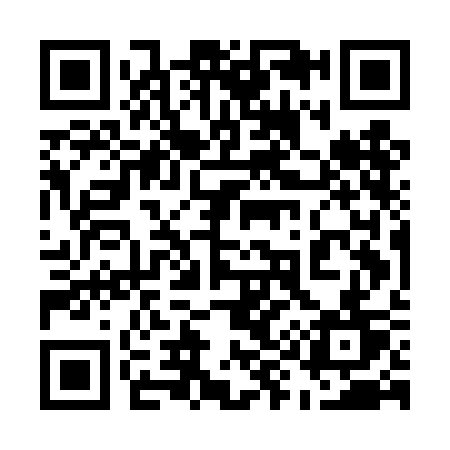 QR code for 595DCT
