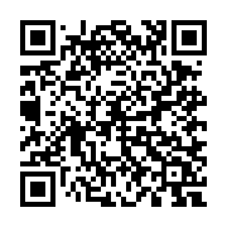 QR code for 595DLT