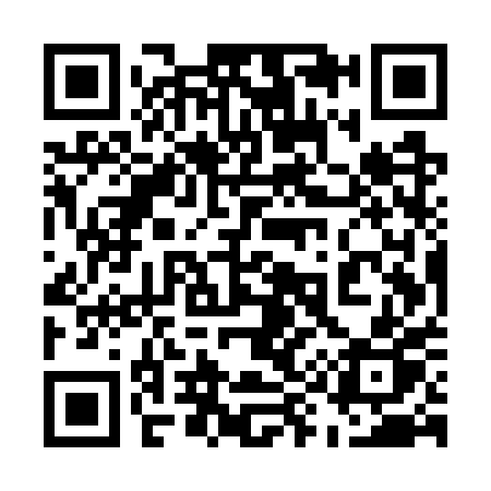 QR code for 595WPP
