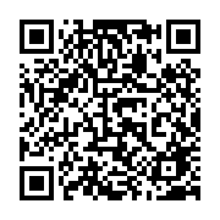 QR code for 596PPG
