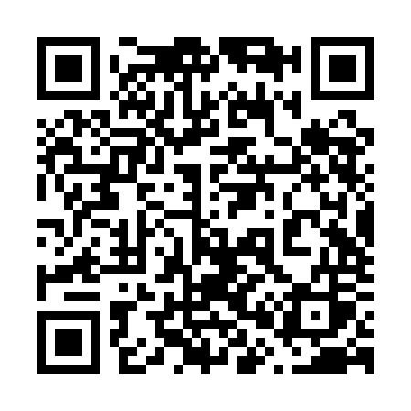 QR code for 602QOS
