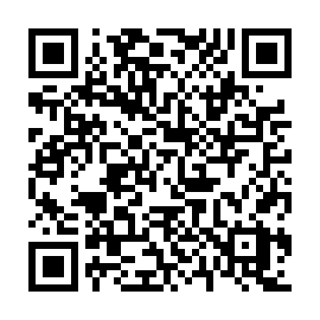 QR code for 603DFX