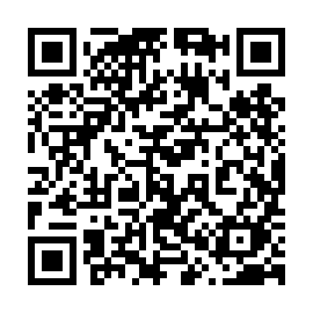 QR code for 608TIM