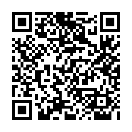 QR code for 613DIR
