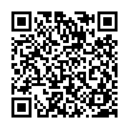 QR code for 613DSN