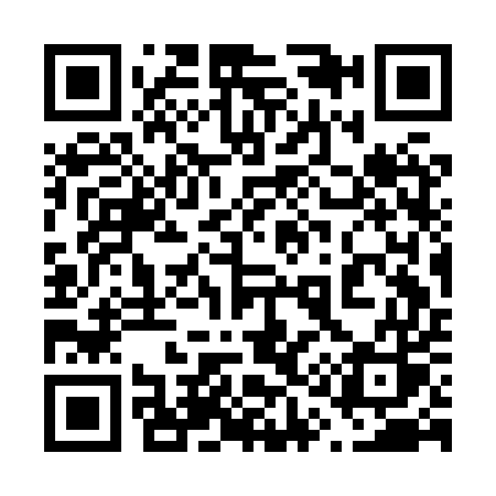 QR code for 613HUS
