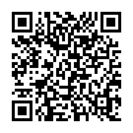 QR code for 617QSN