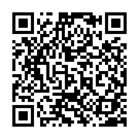 QR code for 638MPI