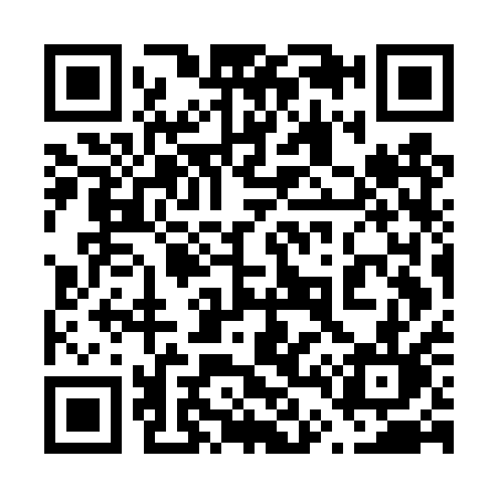 QR code for 647DQL