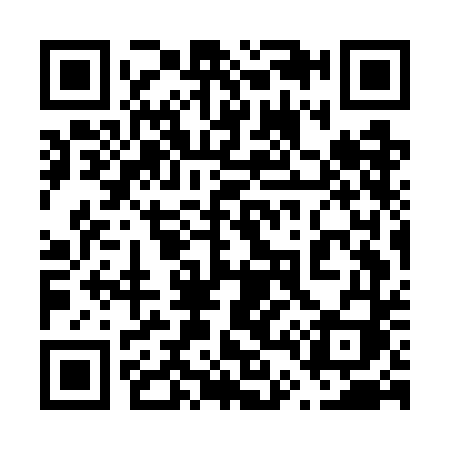 QR code for 647GDI