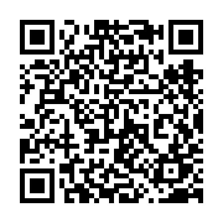 QR code for 647VIT