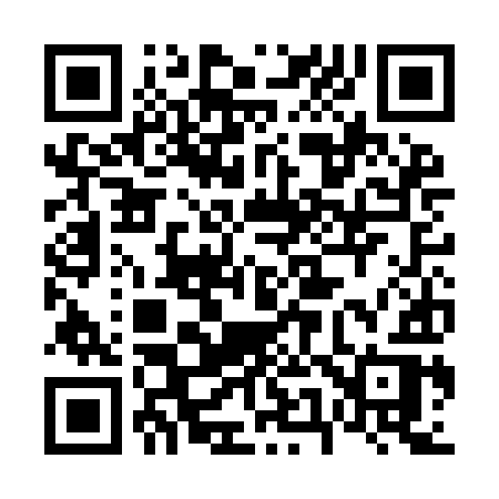 QR code for 653IIR