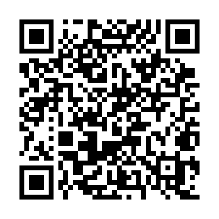 QR code for 653SMI