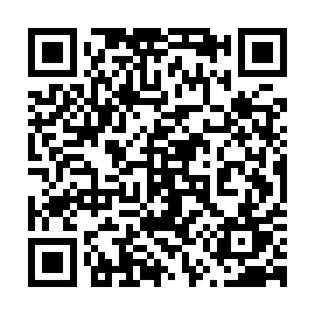 QR code for 655IQT