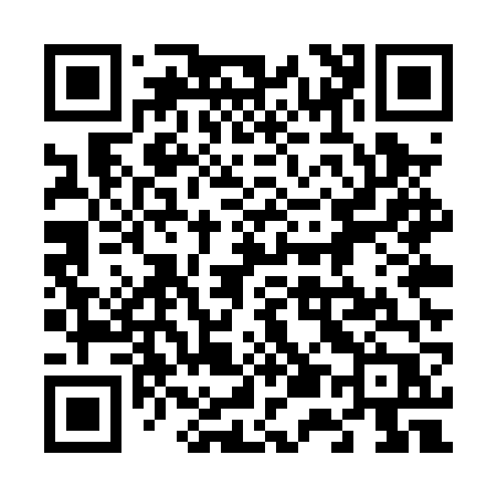 QR code for 655PVP