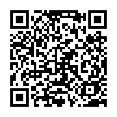 QR code for 655RUE