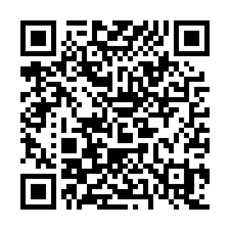 QR code for 656PPI