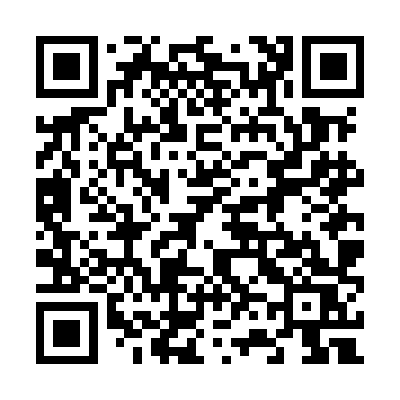 QR code for 666MHS