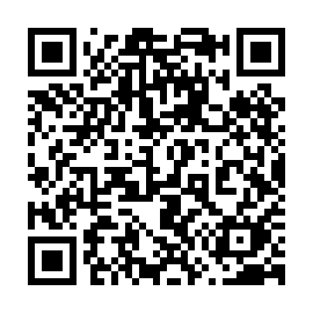 QR code for 676PAM