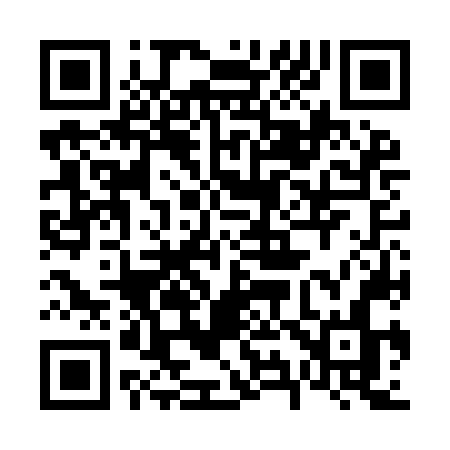 QR code for 696INN