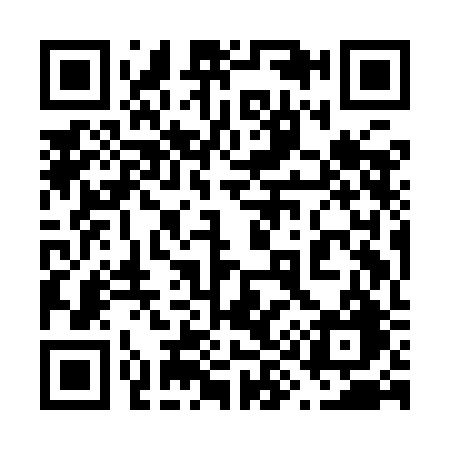 QR code for 699IBG