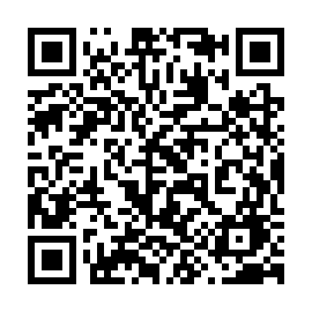 QR code for 699SWG