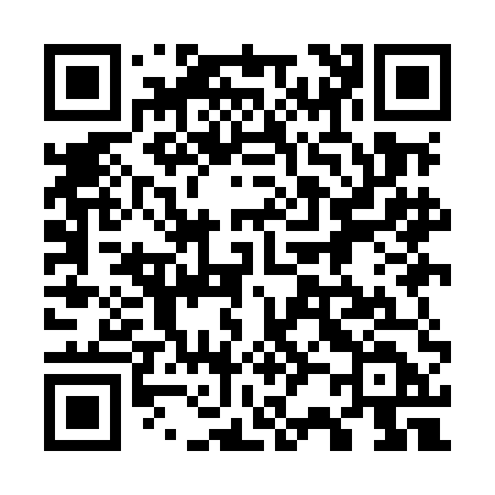 QR code for 729MED