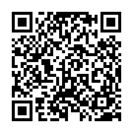 QR code for 729PVT