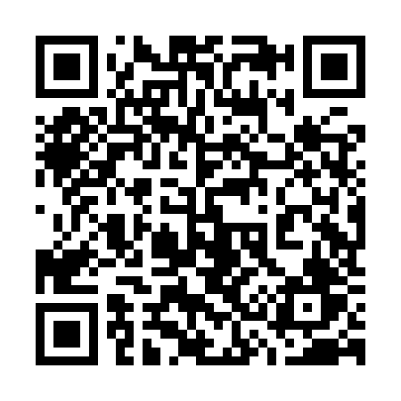 QR code for 738IZV