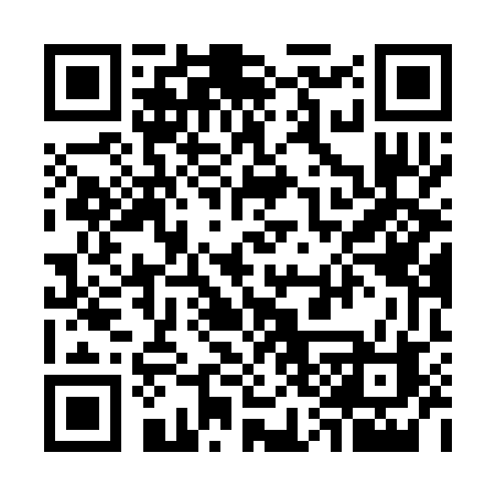 QR code for 738SUB