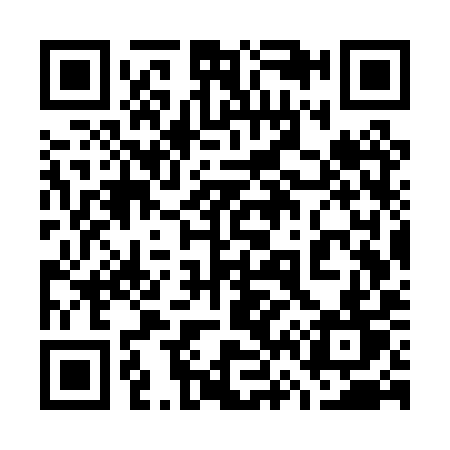 QR code for 767PYT