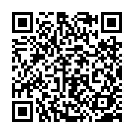 QR code for 767SIK