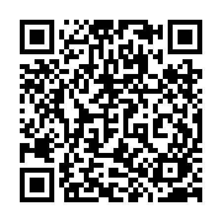 QR code for 781CEO