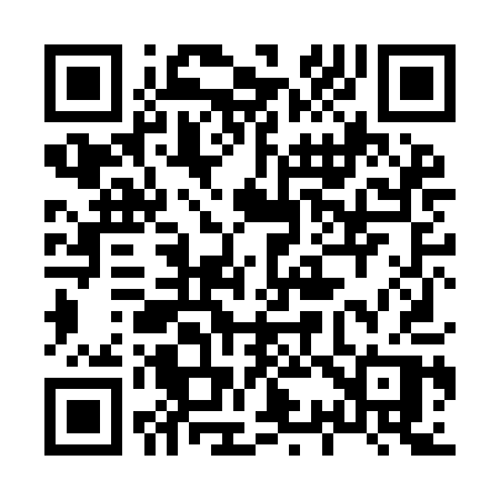 QR code for 838IAP