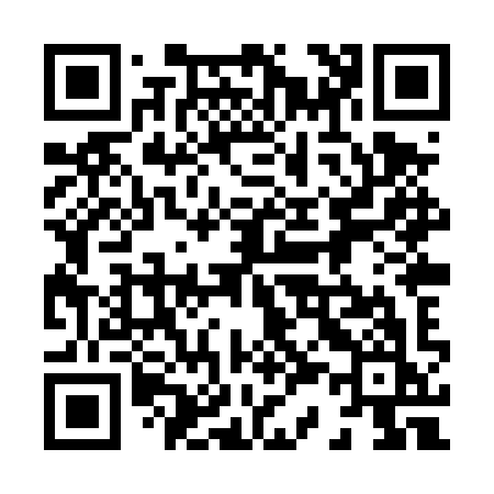 QR code for 838TYK