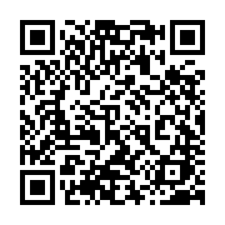 QR code for 856INK