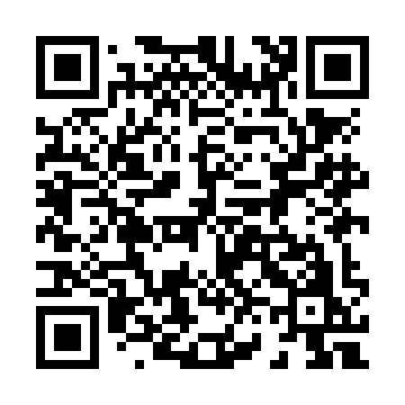 QR code for 869NIO