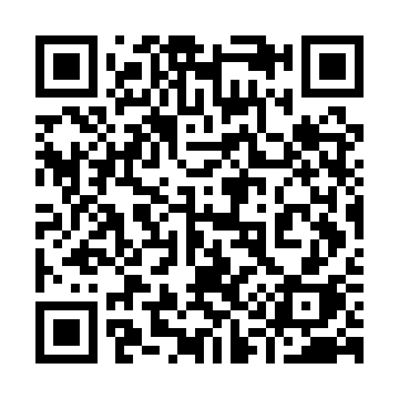 QR code for 917ASH