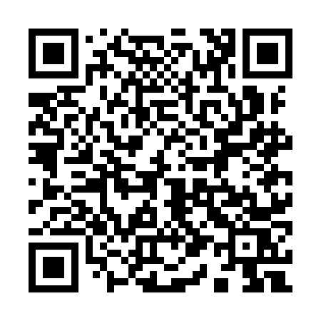QR code for 917INS