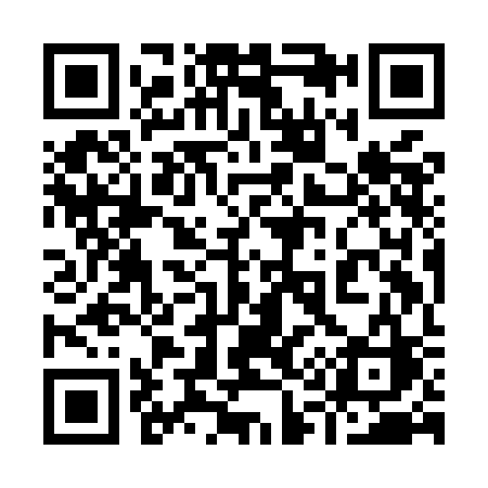 QR code for 919MCC