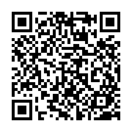 QR code for 919MMO
