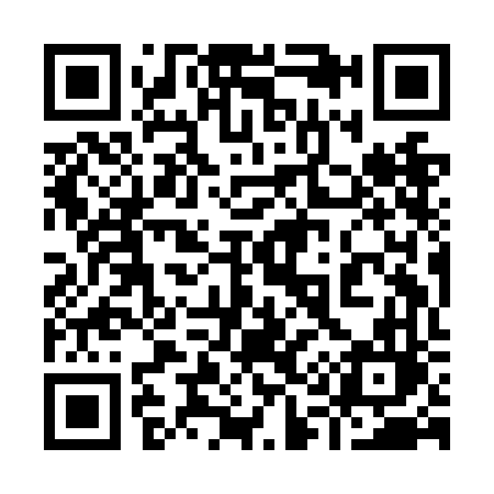 QR code for 919NFL