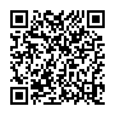 QR code for 919RSK