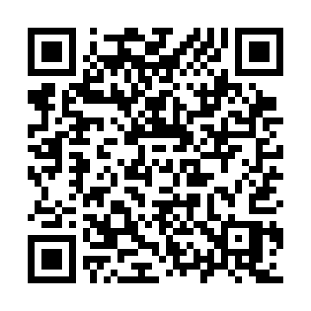 QR code for 919SAS