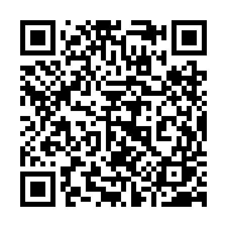 QR code for 919SES
