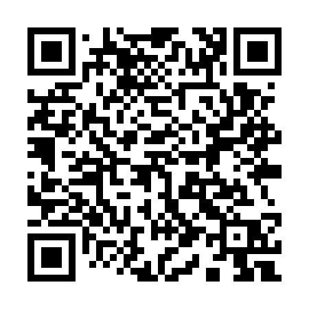 QR code for 919USP
