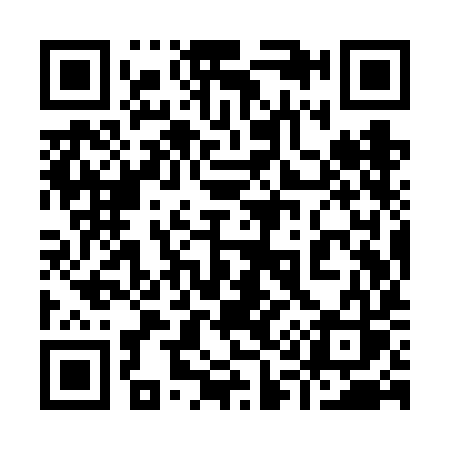 QR code for 919VIS