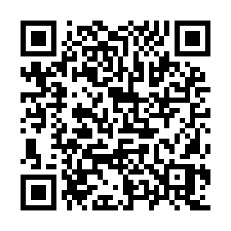 QR code for 950INR