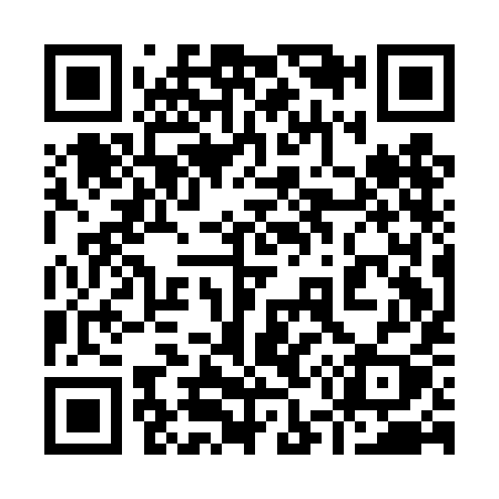 QR code for 951DIY